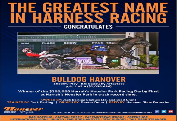 Bulldog Hanover